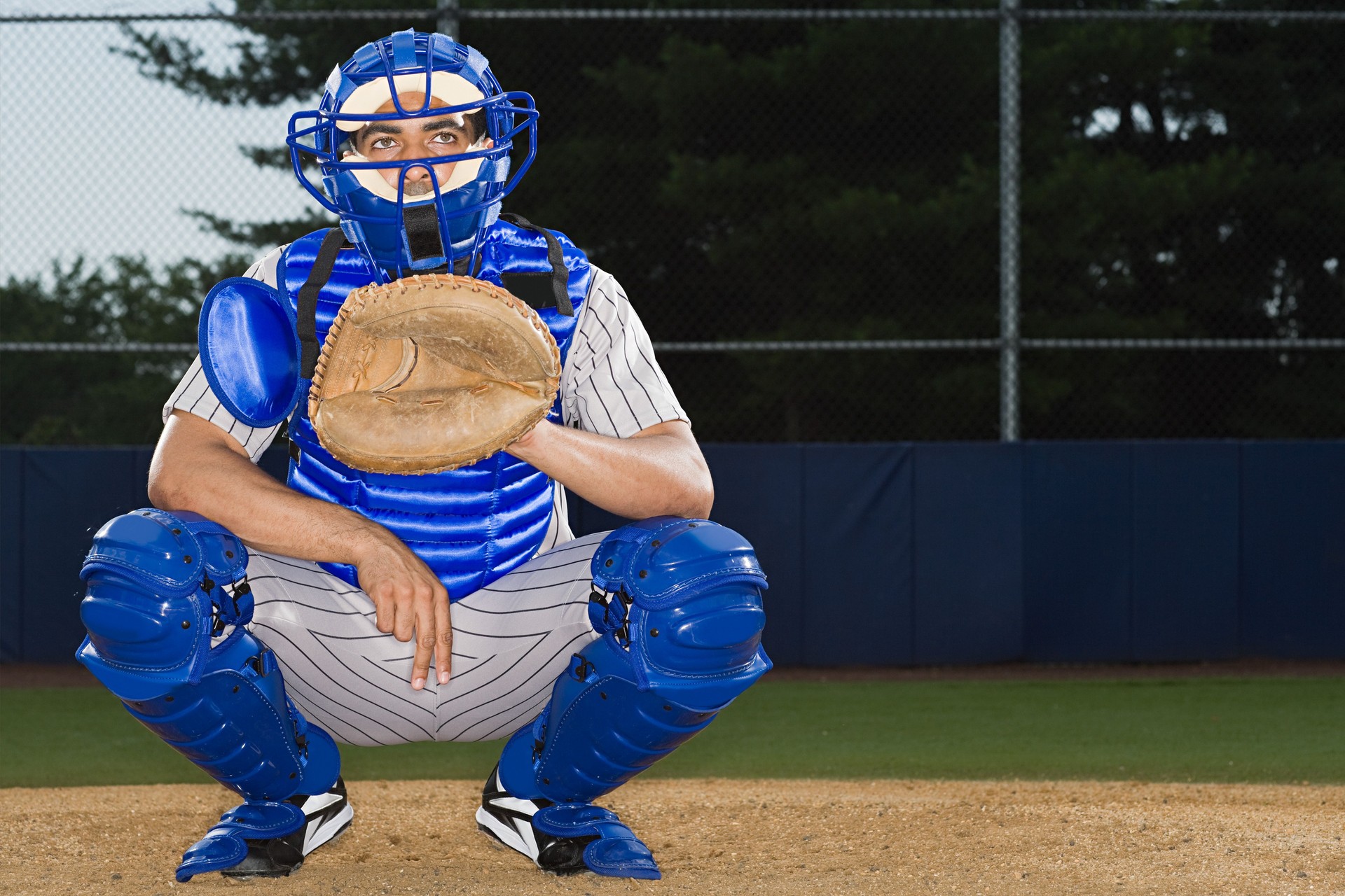Baseball catcher
